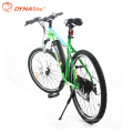 Bafang central motor mtb powerful electric bike